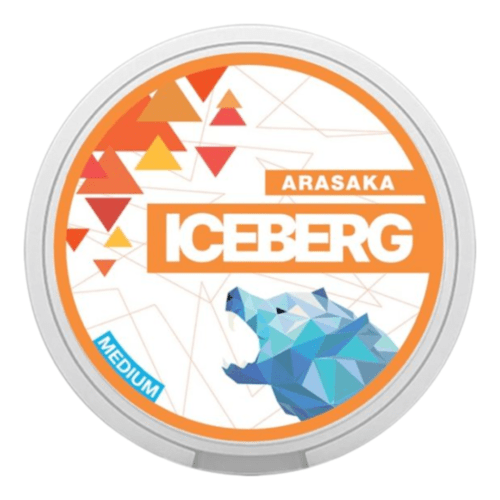 Iceberg Arasaka Nicotine Pouches Maroc – nicotine pouches snus Casablanca Maroc