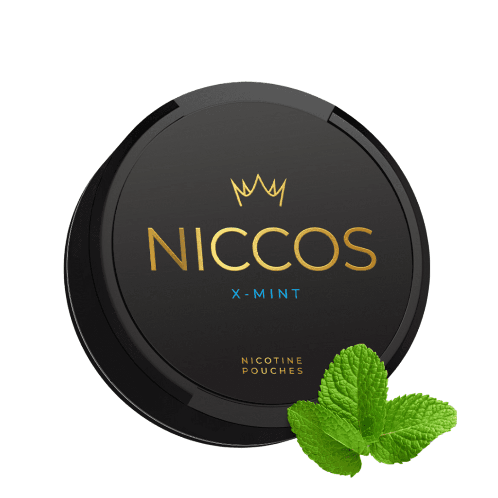 NICCOS X-MINT Nicotine Pouches – nicotine pouches snus Casablanca Maroc