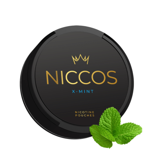 NICCOS X-MINT Nicotine Pouches – nicotine pouches snus Casablanca Maroc