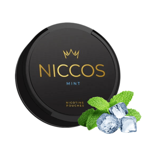 NICCOS Mint Nicotine Pouches – nicotine pouches snus Casablanca Maroc