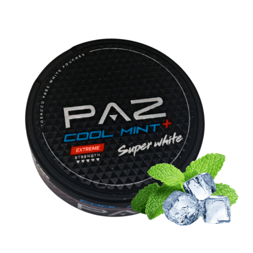 PAZ Cool Mint+ 28mg Nicotine Pouches – nicotine pouches snus Casablanca Maroc