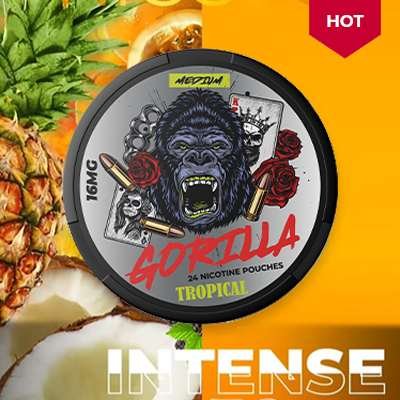 tropical 16mg – nicotine pouches snus Casablanca Maroc