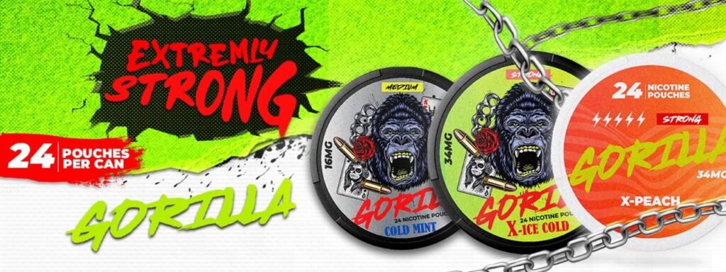 banner (2) – nicotine pouches snus Casablanca Maroc